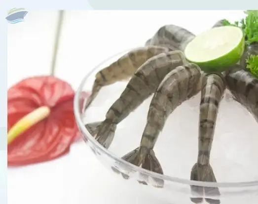 Headless Shell ON (HLSO) Shrimp
