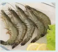 Head On Shell On (HOSO) Shrimp