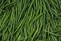 Fresh Green Chilly