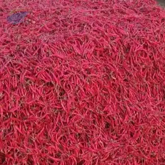 Red chilli