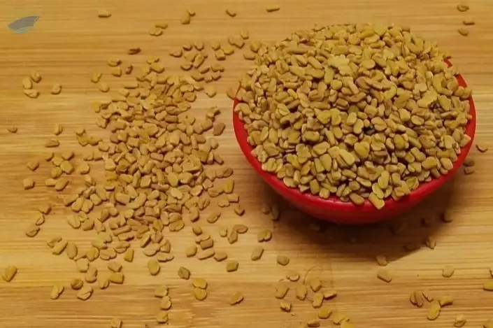Fenugreek Seeds
