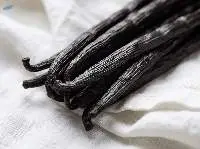 Vanilla Beans Planifolia