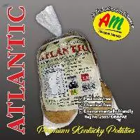 Atlantik  Premium Kentucky Potatoes
