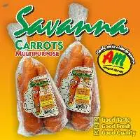 Savanna Carrot