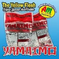 Yamaimo The Yellow Flesh Baby Japanese Sweet