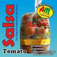 Salsa Healthy Tomatoes