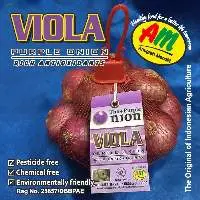 Viola Red Shallot / Orion