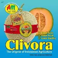 Clivora Cantalope Melon