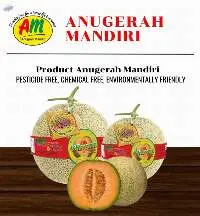 Clivora Cantalope Melon