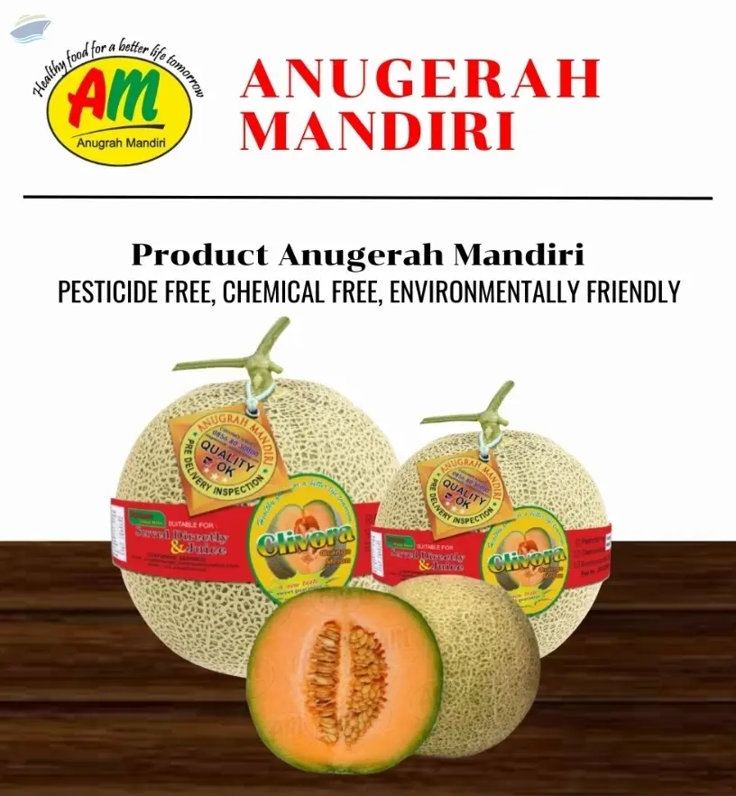 Clivora Cantalope Melon