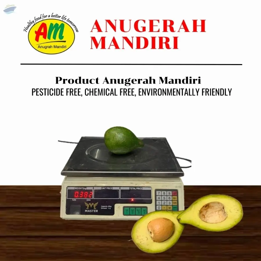 Hass Avocado