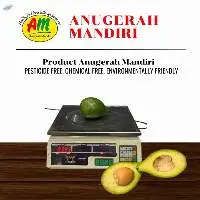 Hass Avocado