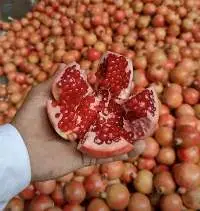 Pomegranate