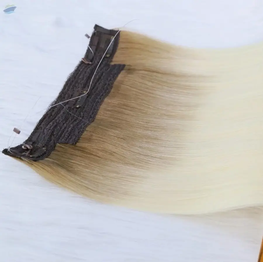 Halo Hair Extensions