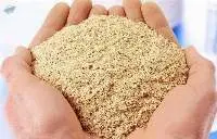 Soybean Meal GMO