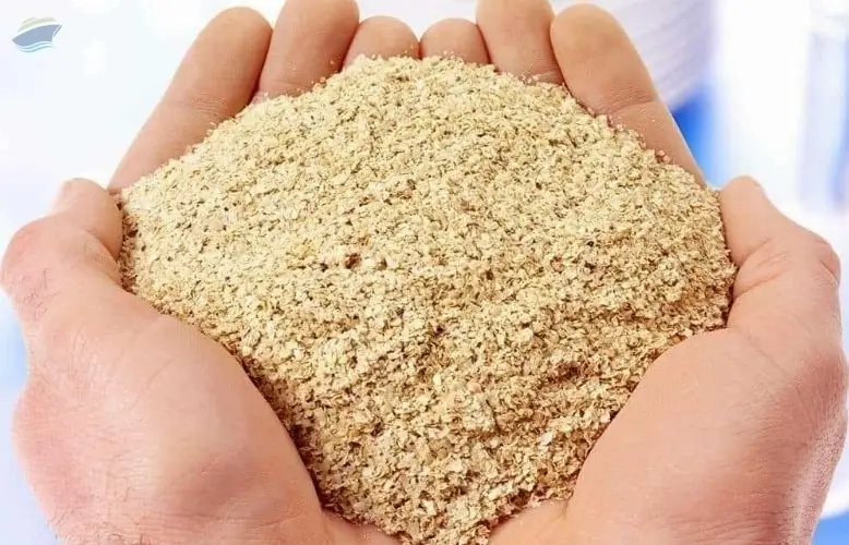 Soybean Meal GMO