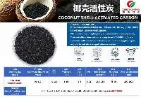 Coconut Shell Activated Carbon