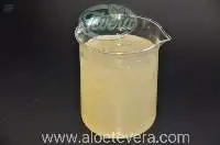 Aloe Barbadensis Gel Jam