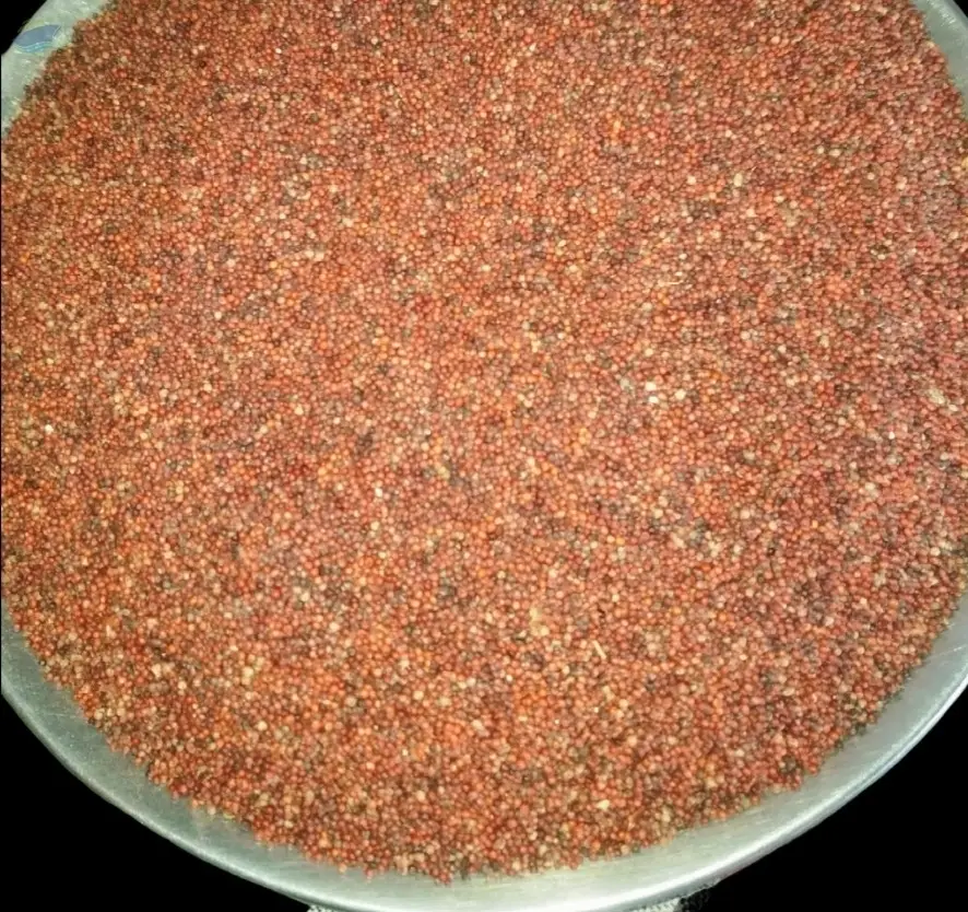 Finger Millets