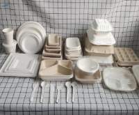 Disposable Bagasse Food Container