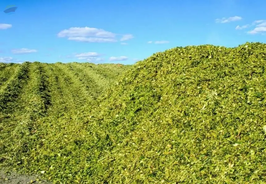 Silage