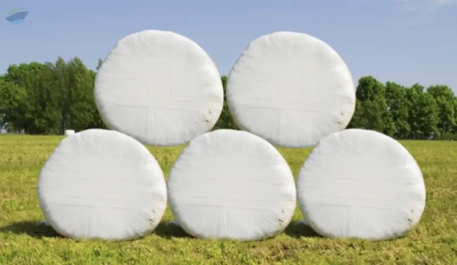 High Dry Matter Silage