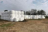 High Dry Matter Silage Blend