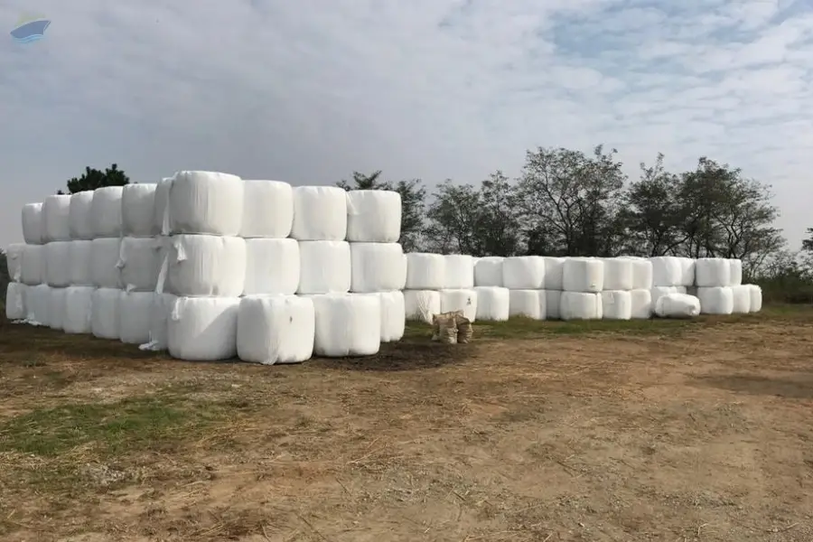 High Dry Matter Silage Blend