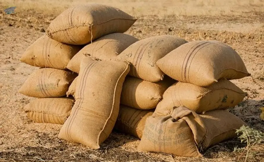 Jute Bag