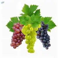 Grapes