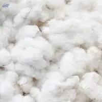 Raw Cotton