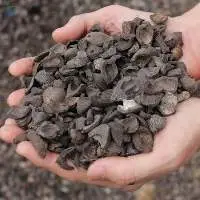 Palm Kernel Shell