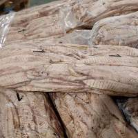 Frozen Precooked Skipjack Tuna Loins