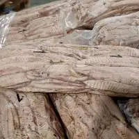Frozen Precooked Skipjack Tuna Loins