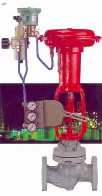 Cage Guided Valve