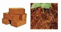 Cocopeat