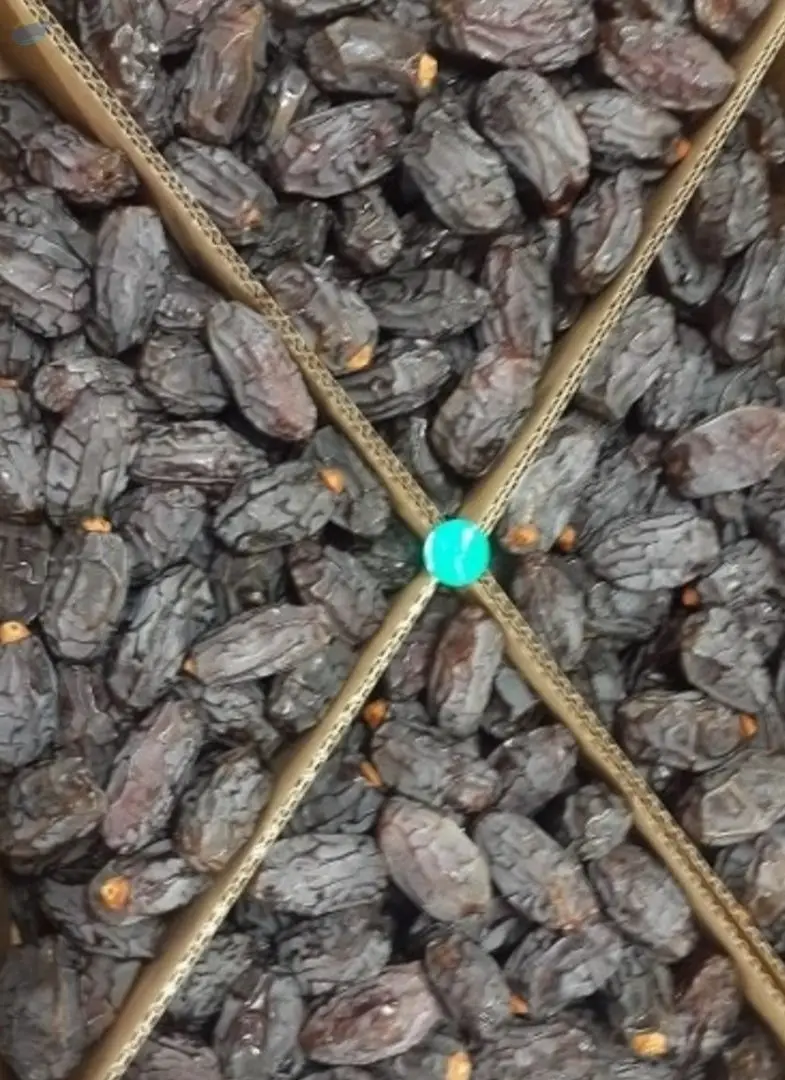 Palestine Medjool Dates