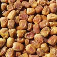 Sukari Dates