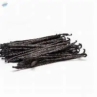 Vanilla Planifolia