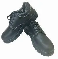 Safety Shoes 1