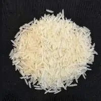 1401-Pusa-white-sella