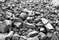 Steam Coal