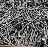 Common Nails