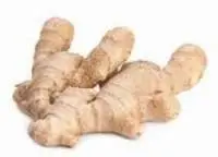 Ginger