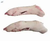 Frozen Pork Hind Feet