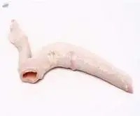Frozen Beef Aorta