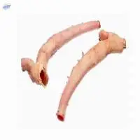 Frozen Pork Aorta