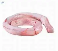 Frozen Beef Pizzle Beef Penis