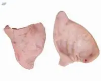 Frozen Pork Ear Flaps