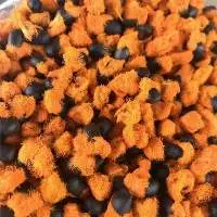 Strelitzia Nicolai, Strelitzia Reginae Seeds